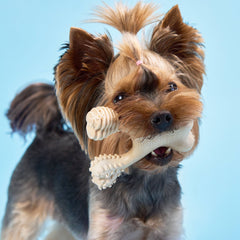 BetterBone SOFT Durability CHEW TOY: Natural Plant-Based Ingredients, Perfect for Teething Puppies, Senior Dogs & Gentle Chewers